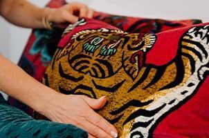 Tiger cushion detail
